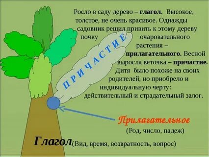 Понятие о причастии 7 класс конспект урока