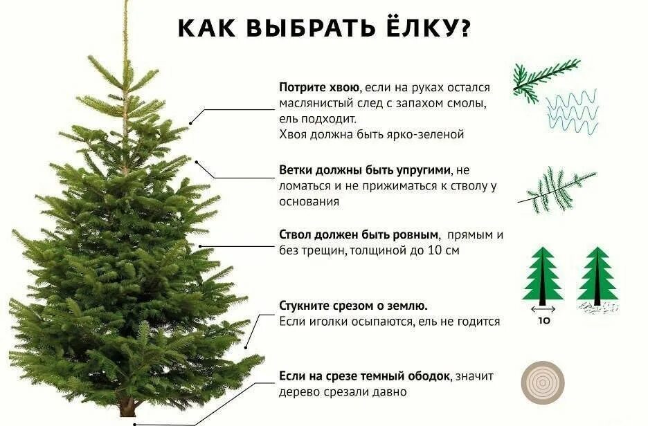 Размер елочки