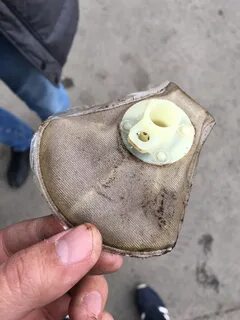 Сетка бензонасоса