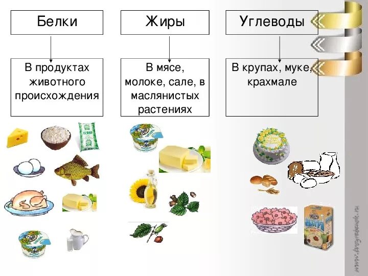 Где белки жиры и углеводы. Белки жиры углеводы в продуктах растительного происхождения. Что содержит белки и углеводы список продуктов. Продукты насыщенные углеводами и белками. Пища богатая белками и углеводами.