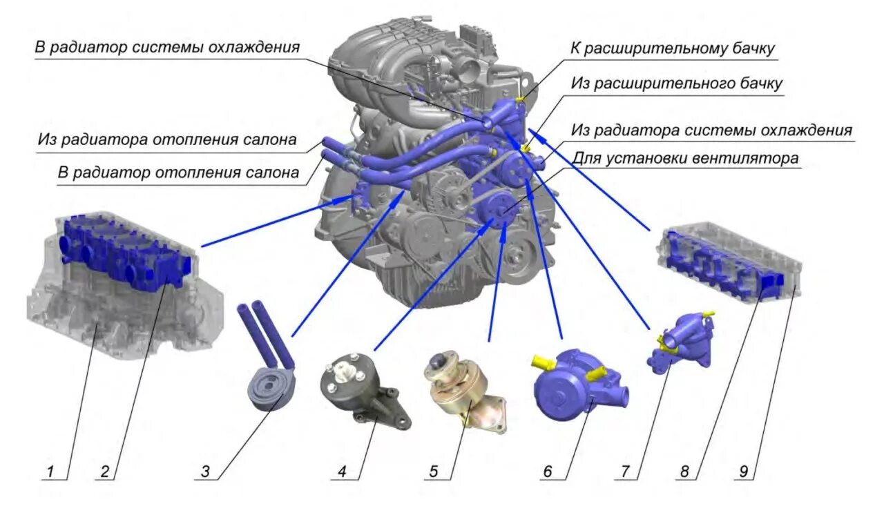 система охлаждения двигателя 4216. система охлаждения газель 4216 евро 3. охлаждение системы двигателя 4216. схема двс умз 4216. система охлаждения двигателя умз 4216 евро 3 газель.