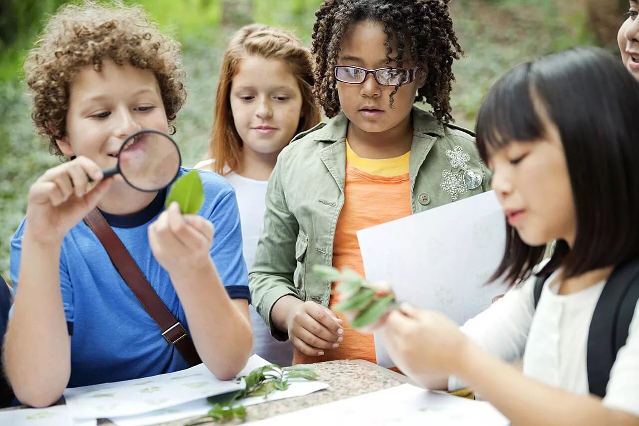 The students are watching. Ребенок ученый. Идеи для проекта по школе. Человек activities. Литтл Middle School.