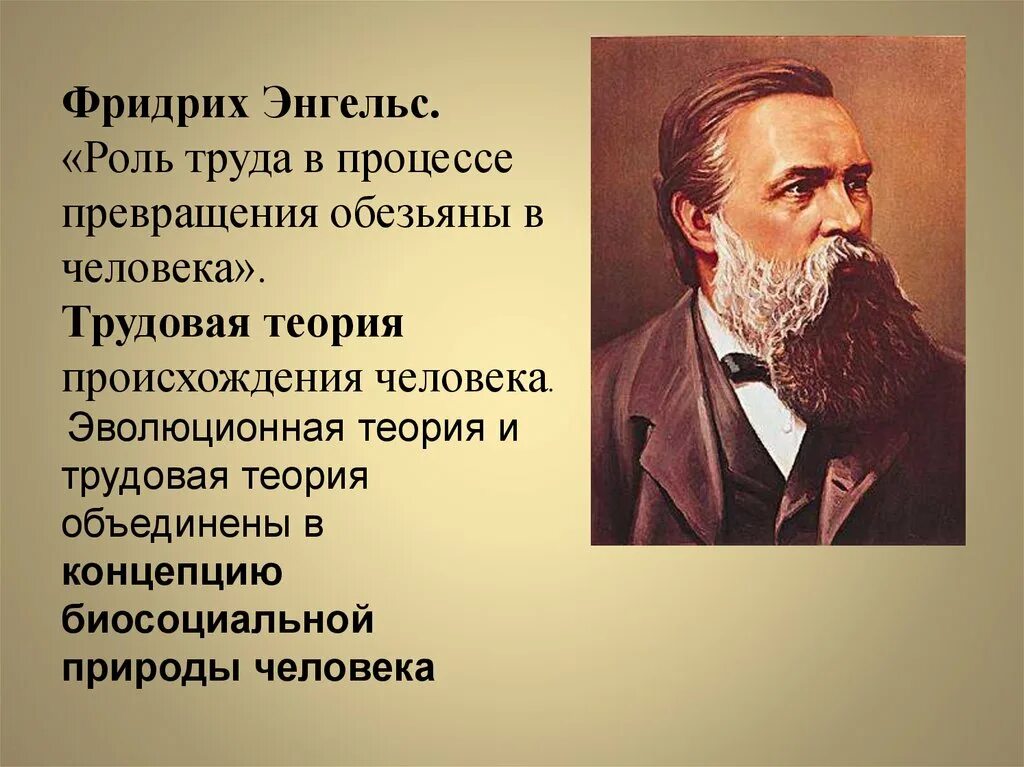 Трудовая теория Фридриха Энгельса. Энгельс роль труда в процессе превращения обезьяны в человека. Трудовая теория происхождения человека.