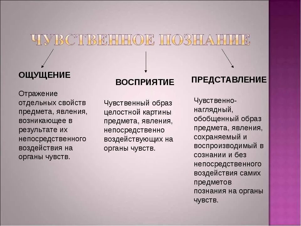 Чувственные формы познания ощущение восприятие представление. Ощущение восприятие представление. Восприятие это в обществознании. Ощущение и восприятие в психологии. Ощущение восприятие представление Обществознание.