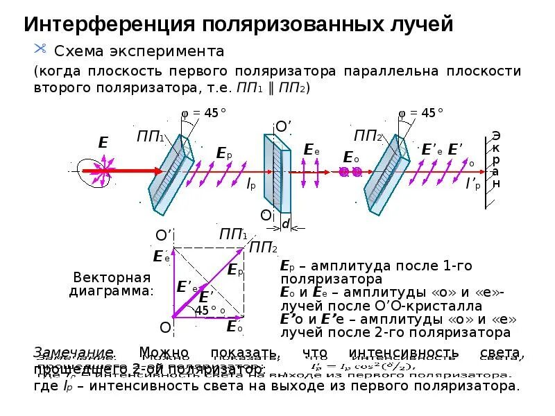 Поляризатор анализатор схема. Ход лучей через поляризатор и анализатор. Правильную схему хода лучей через поляризатор и анализатор. Поляризация света поляризатор и анализатор. Вращение угла поляризации