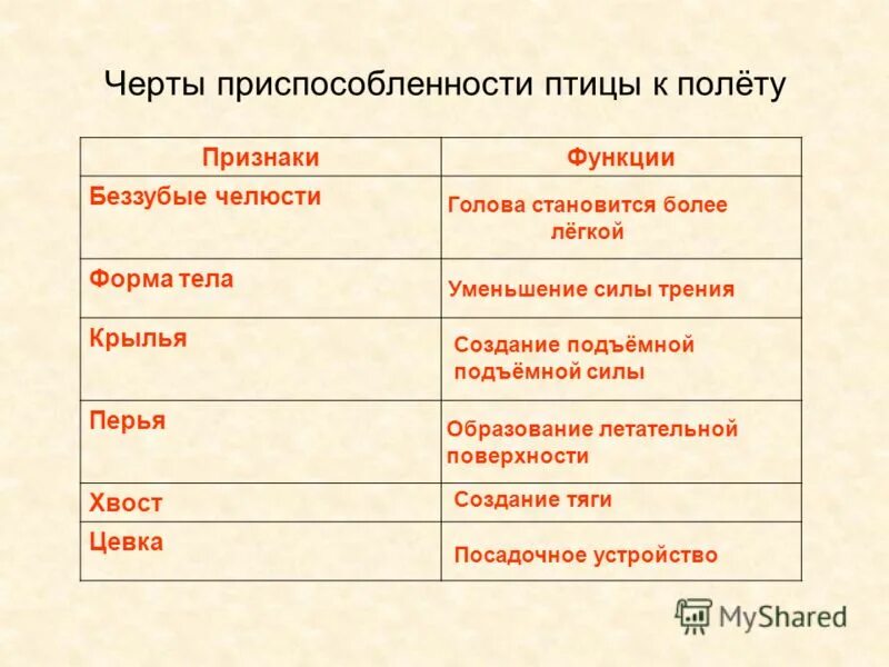 Приспособления птиц к полету. Приспособления птиц. Особенности приспособления птиц. Приспособленность птиц к полету. Приспособления птиц к полету ответ.