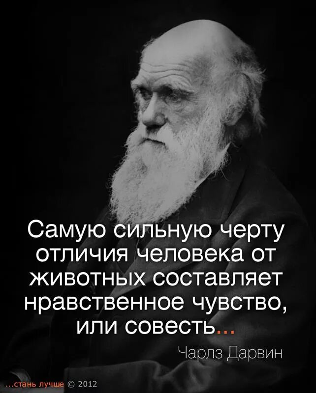 Ценности цитаты великих людей. Чарльз дарвин высказывания. чарльз дарвин цитаты. высказывания о людях. высказывания о нравственности.