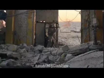 Белогоровка 2024