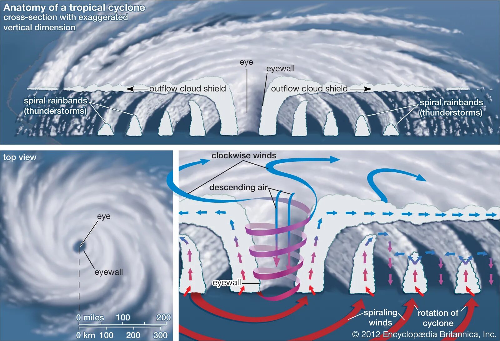Схема тайфуна. Строение тропического циклона. Стадии развития тропического циклона. Структура циклона и антициклона. Структура тропического циклона.