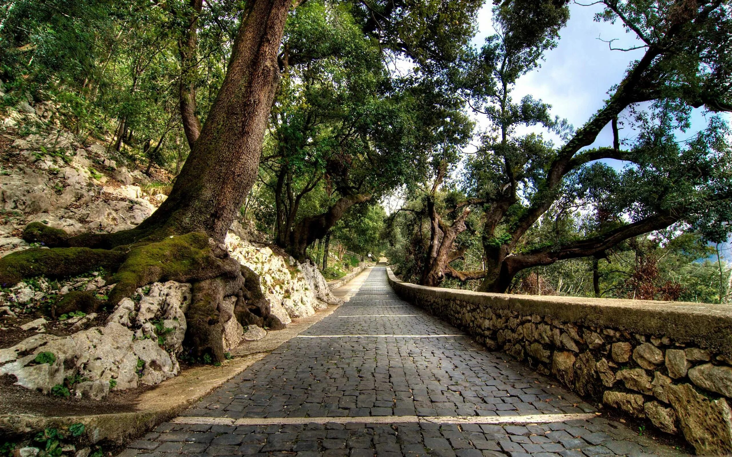 Db path