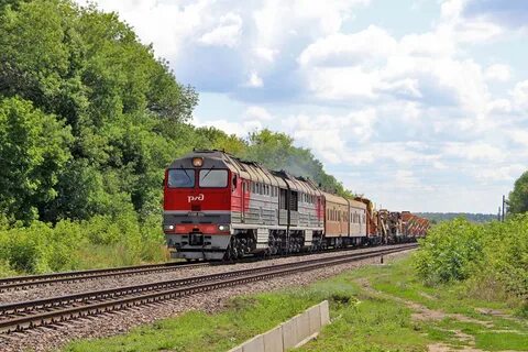 Селезни тамбов