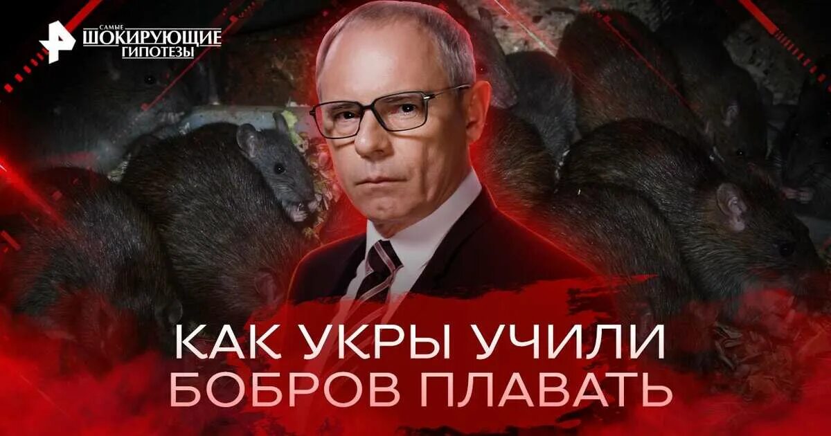 Самые шокирующие гипотезы с игорем прокопенко. Прокопенко шокирующие гипотезы. Самые шокирующие гипотезы 2022. Самые шокирующие гипотезы. Шокирующие гипотезы с игорем прокопенко.
