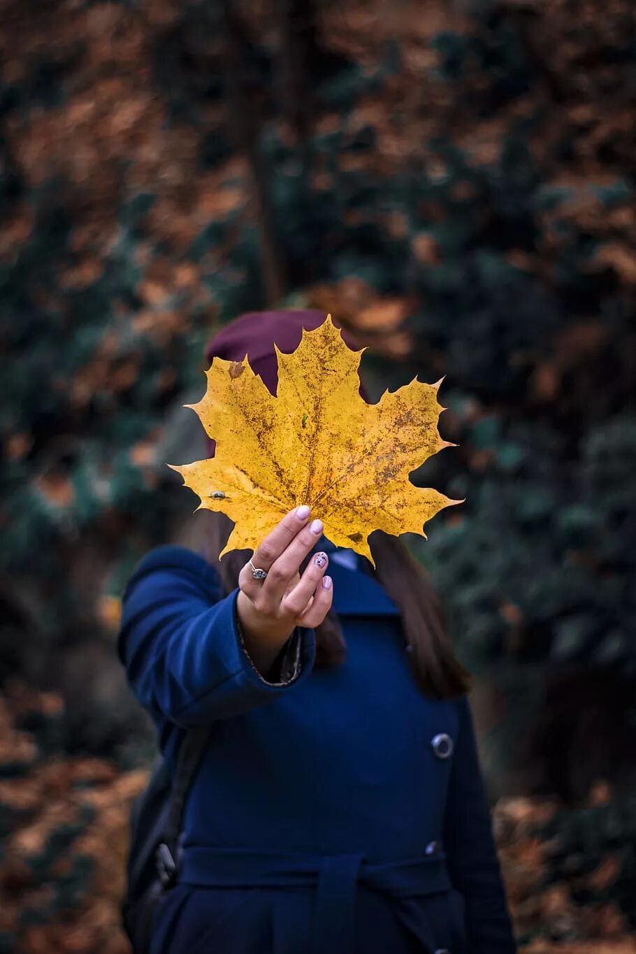 Бросать листья осенью. Фотосессия в кленовых листьях осенью. фотосессия с осенними листьями. осенняя листва. девушка в осенней листве.