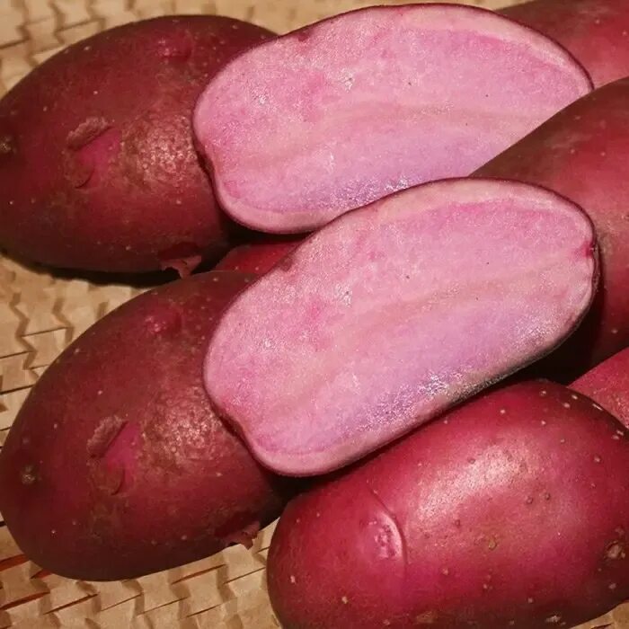 Картофель красный внутри. Семенной картофель элита. Розовый картофель с розовой мякотью. Картофель сорт мякоть розовый. Картофель кранберри ред.