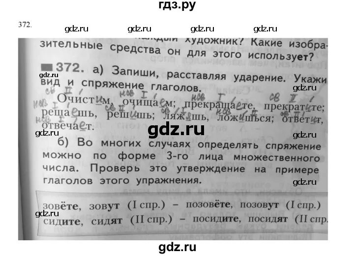 Упражнение 372 5 класс. Русский язык 5 класс номер 372.
