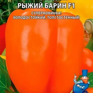Перец барин