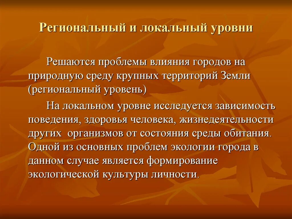 Программа локального уровня. Программа локального уровня