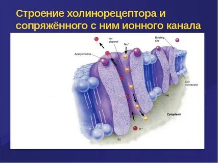 15 строение
