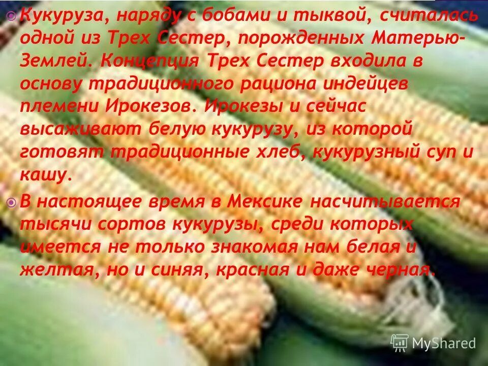 Кукуруза молотые початки, грызунов, кроликов, хорьков, птиц, лошадей, с/х животн