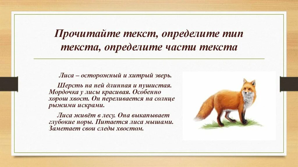 Осторожный и лиса зверь. Текст про лису. Текст описание на тему лиса. Сочинение описание лисы. Сочинение про лису 2 класс.