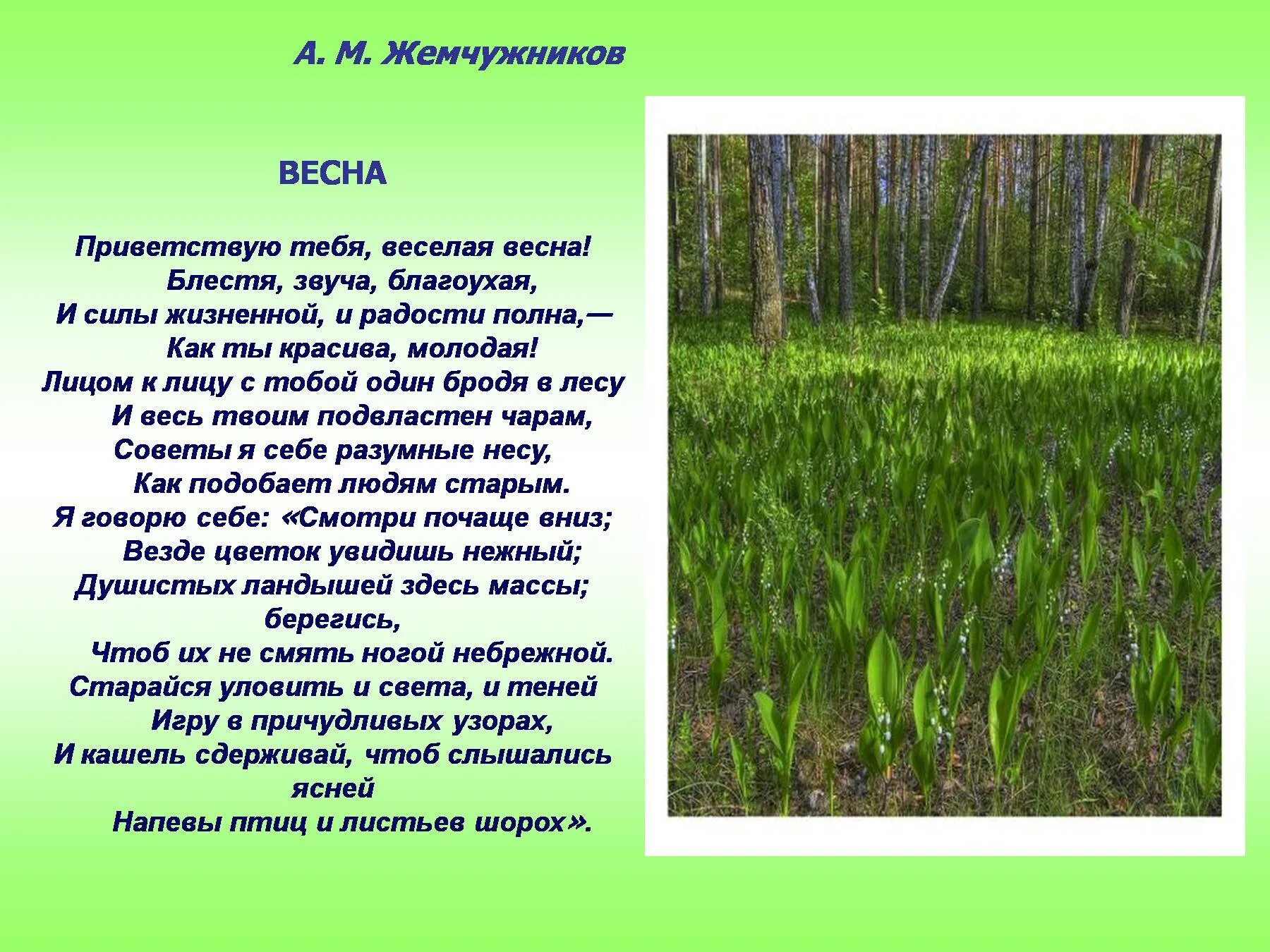 Текст зарисовка на тему мелодии весеннего леса. Стихотворение на тему мелодии весеннего леса. Стих про весну. Лес весной описание.