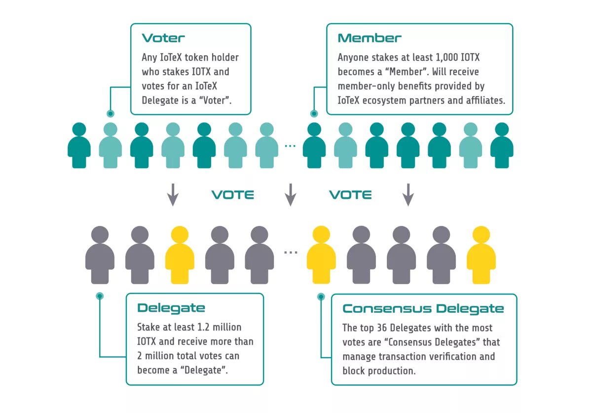 Делегатов конференции инфографика. IOTEX пользователи. IOTEX ecosystem. Цифровая демократия блокчейн. Become a member