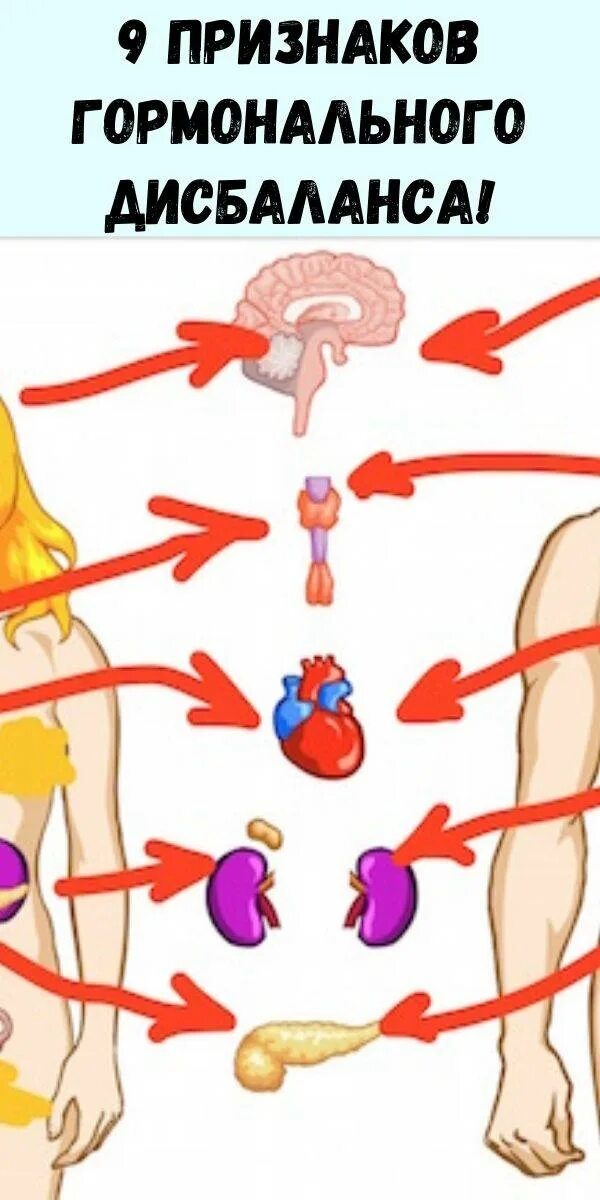 Гормональный дисбаланс. Гормональный дисбаланс симптомы. Признаки гормонального дисбаланса. Гормональный дисбаланс у женщин. Гормональные нарушения симптомы