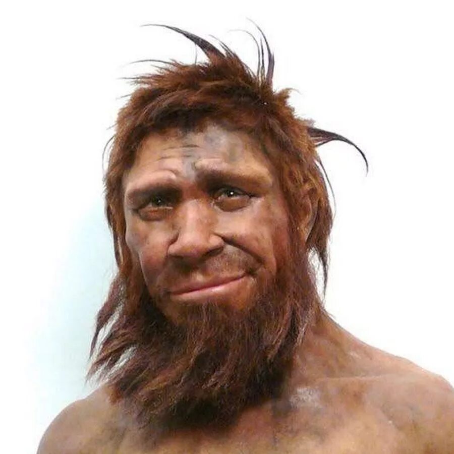 Человек разумный homo sapiens. Гомо сапиенс это. Хомо сапиенс сапиенс. Человек разумный фото. Человек разумный homo sapiens.