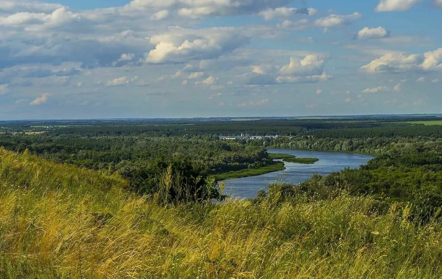 Дон богучары