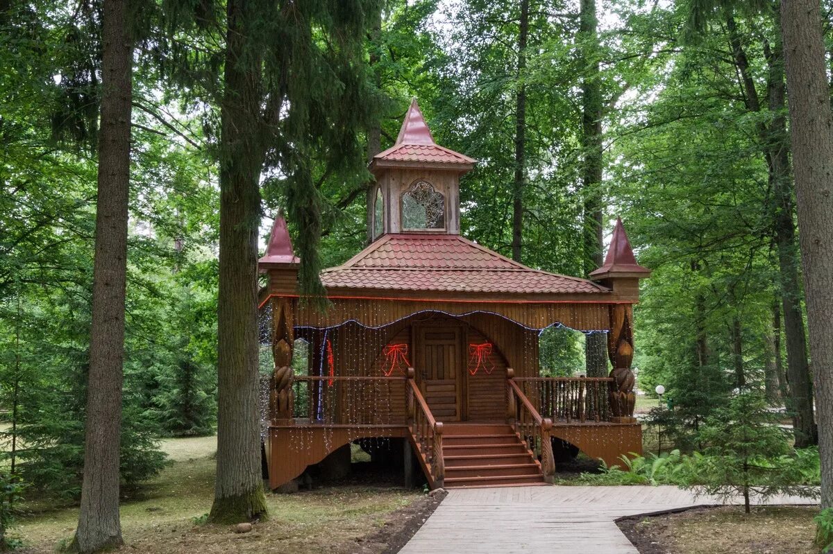 Парк отель беловежская пуща брест. Беловежская пуща биосферный резерват. Беловежская пуща карта маршрутов. Белоруссия природа беловежская пуща. Беловежская пуща.