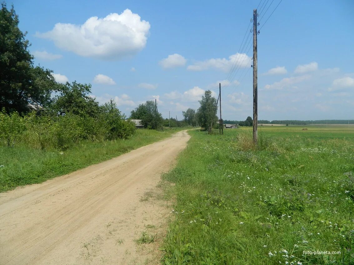 Погода большие озерцы. Погода в озерце. Озерцы минская область. Погода большие озерцы. Деревня ашево псковская область.