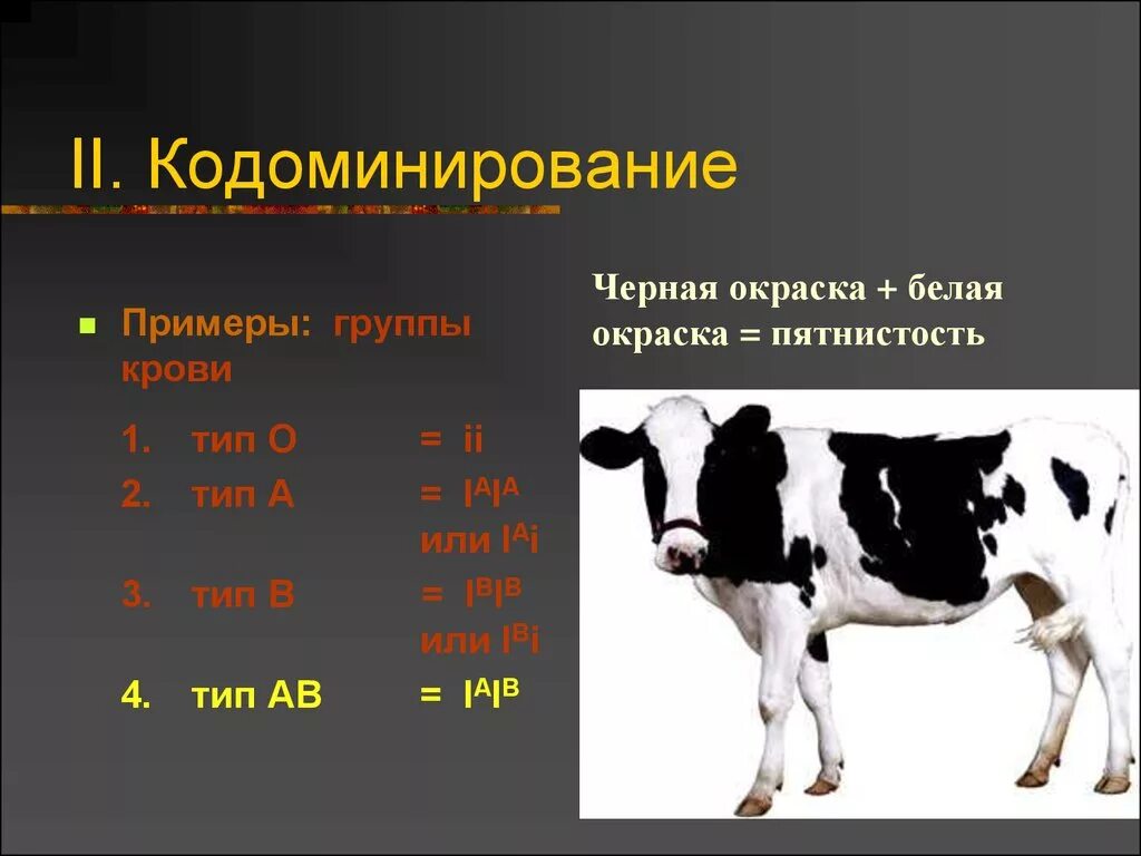 Биология генетика кодоминирование. Аллельные гены кодоминирование. Примеры кодоминирования у человека. Доминирование примеры. Кодоминирование группы крови