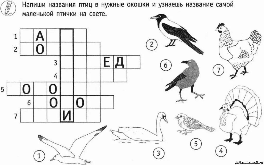 Лексическая тема домашние птицы задания для детей. Перелетные птицы задания для детей 7 лет. Задания про птиц для дош. Рабочий лист птицы 1 класс. Проверочная по окружающему миру 1 класс плешаков птицы.