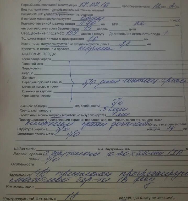 Сердце визуализация затруднена. Визуализация удовлетворительная затруднена. что такое визуализация при беременности на узи затруднена.