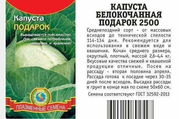Капуста подарок какой сорт. Семена капуста &quot;белокочанная подарок&quot;. капуста сорт подарок. капуста подарок описание. капуста подарок характеристика.