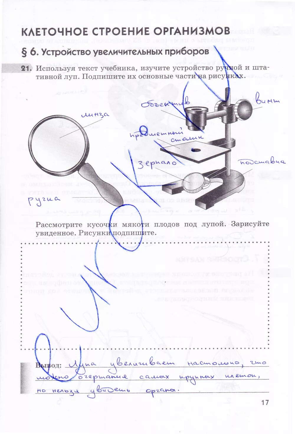 Биология увеличительные приборы 5 класс рабочая тетрадь гдз. Рабочая тетрадь по биологии 5 класс увеличительные приборы. Лабораторная лупа микроскоп 5 класс. Лабораторная "устройство увеличительных. Лабораторная работа изучение искусственных сообществ