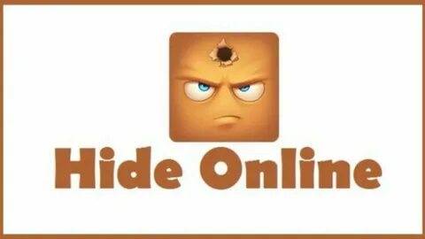 Hide