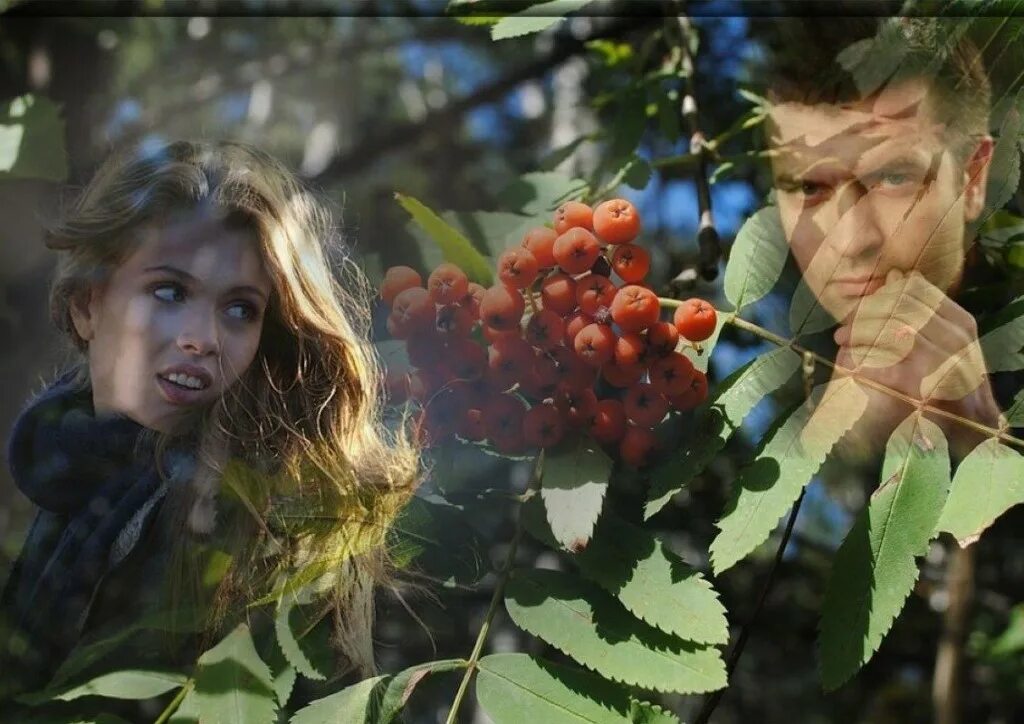 Память остается в деревьях. Сколько деревья осталось. Деревья остаются книга. Кто сажал дерева, тому лежать в тени. Небо летом.