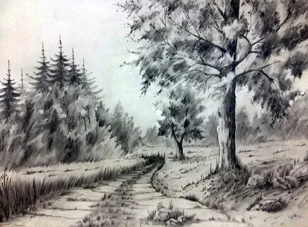 Пейзаж графика карандаш