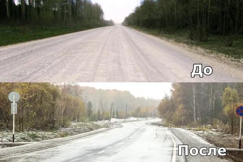 Яшкино тайга