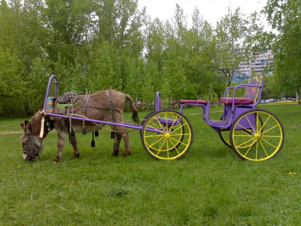 Повозка с лошадью. Телега. Двуколка для лошади. Телега с лошадью.