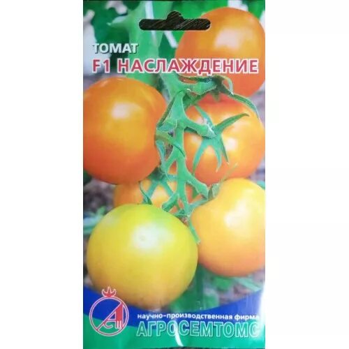 Томат райское наслаждение характеристика. Томат f1 наслаждение. Томат райское яблоко. Томат хлыновский f1. Сорт томатов райское наслаждение.