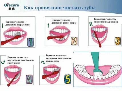 Кто хорошо чистит