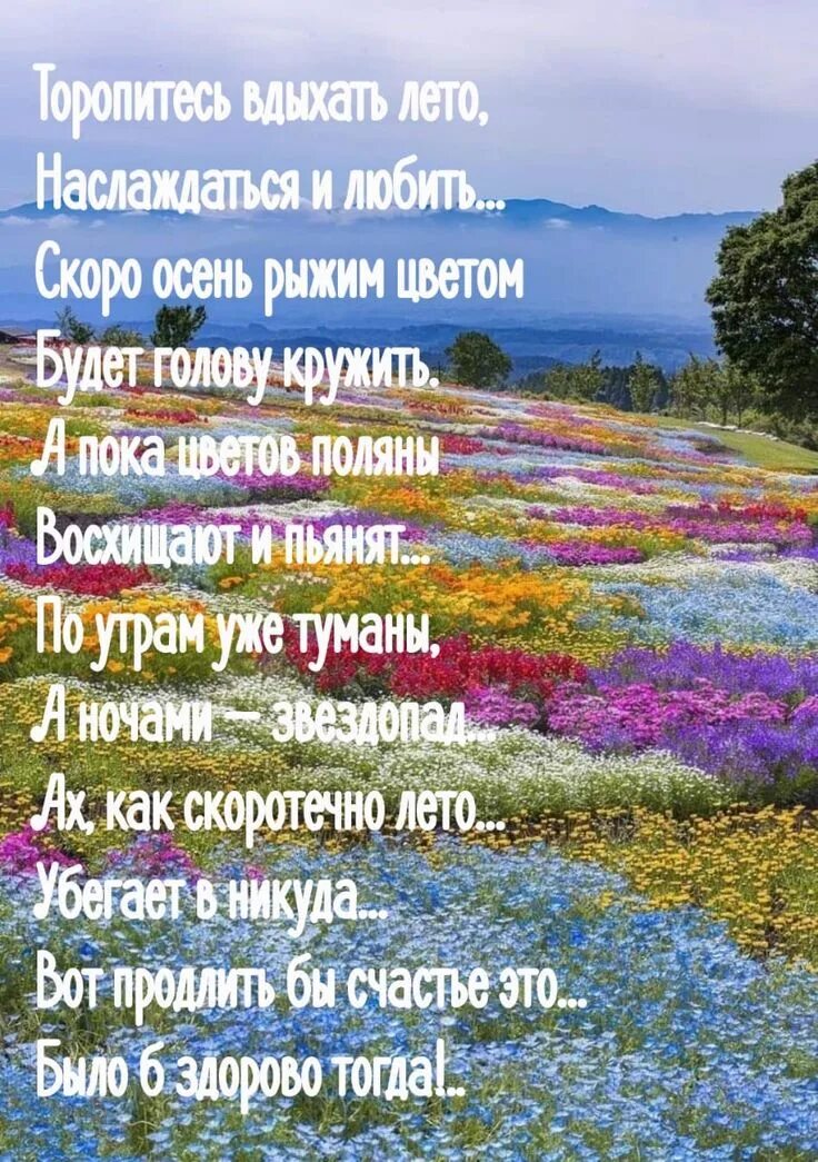 Высказывания про лето