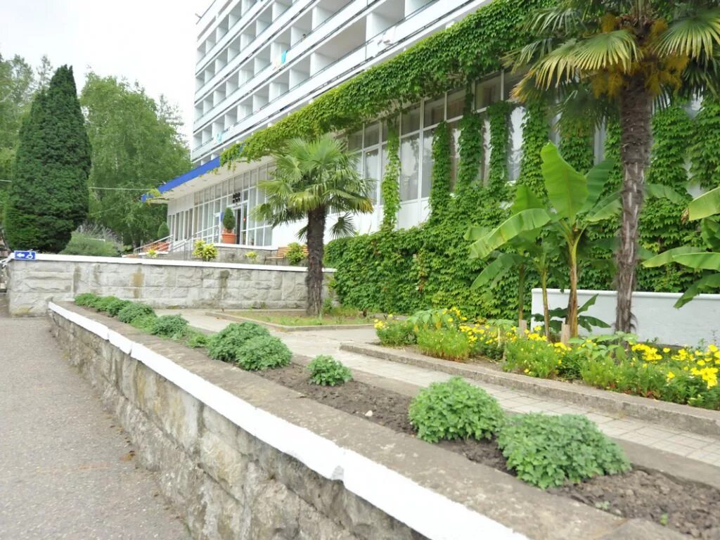 бирюза сочи лазаревское. санаторий бирюза лазаревское. бирюза лазаревское отзывы. отель бирюза лазаревское. санаторий бирюза лазаревское.