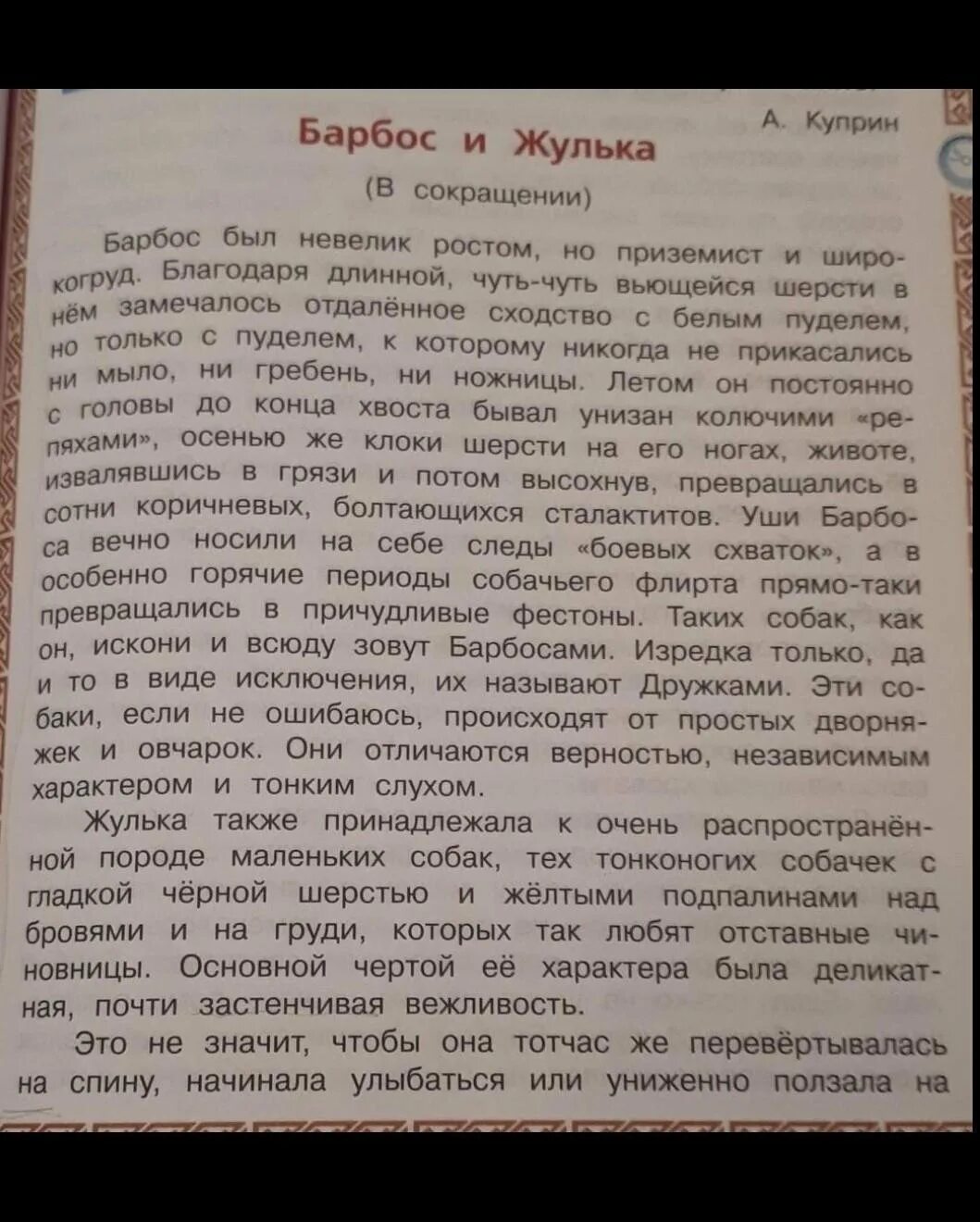 Краткое содержание барбосы