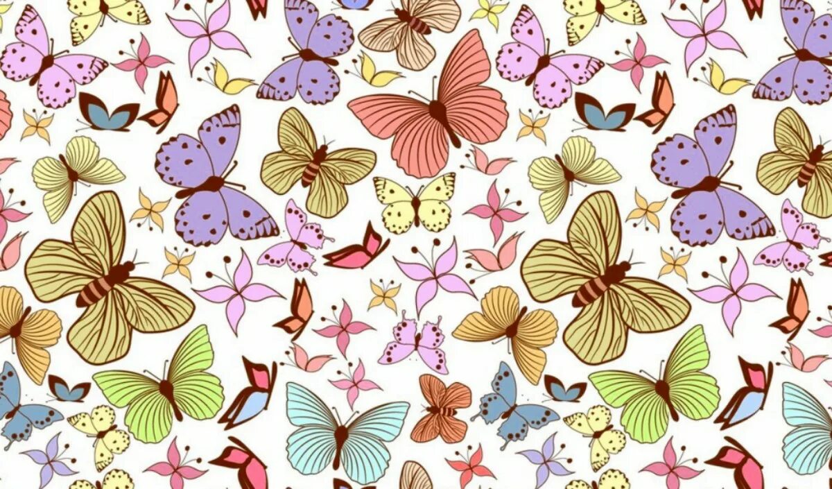 Butterfly pattern