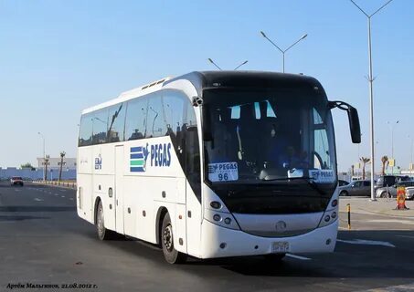 Пегас автобус на маршруте