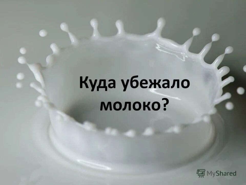 года бегут прикольные. человек бежит по жизни не жалея ног дом работа стихи. шутки про зож. молоко убежало. стихи про забег.