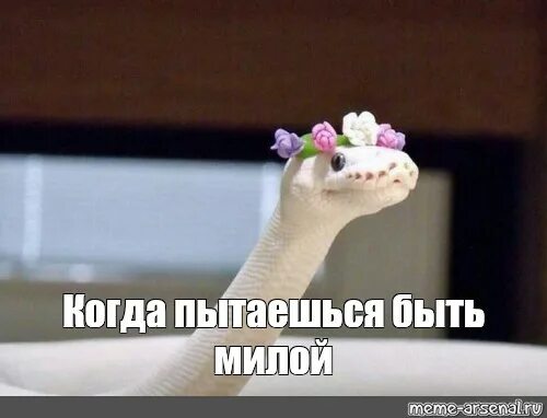 Бывший пытается